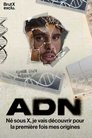 Poster de ADN
