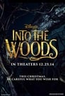 21-Into the Woods