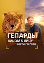 Постер: Cheetahs Up Close with Bertie Gregory