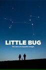 Little Bug