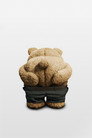 Ted