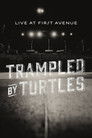 Plakat for 'Trampled By Turtles: Live At First Avenue'