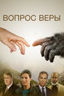 Постер: Вопрос Веры