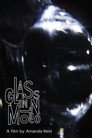 Glass in Motion