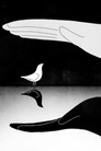 Bird & Shadow