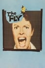 Poster for The Fly