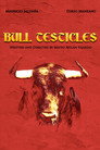 Bull Testicles