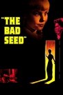 Poster for The Bad Seed