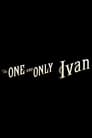 The One and Only Ivan (2020)