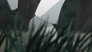 Act 11 - Chapter of the Egg: La Sylphide