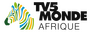 TV5MONDE Afrique