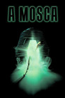 The Fly