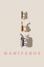 Poster de Mamíferos
