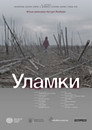 Wreckage