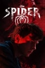 The Spider