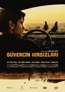 Güvercin Hırsızları