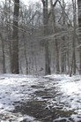 Landscape Tempos 40-50