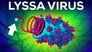 The Deadliest Virus on Earth