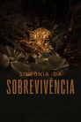 Sinfonia da Sobrevivência