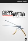 Grey's Anatomy - seizoen 7