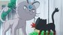 Image Pokémon