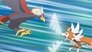 Image Pokémon