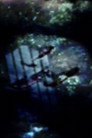 Opacity