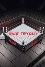 Boston Wrestling Entertainment Tryout