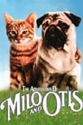 Poster van The Adventures of Milo and Otis