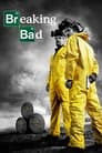 Breaking Bad (Season 2) Dual Audio [Hindi & English] Webseries Download | WEB-DL 480p 720p 1080p