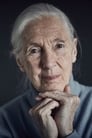 Jane Goodall is