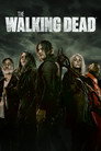 Temporada 11