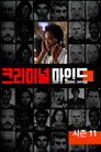 시즌 11