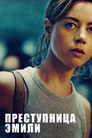 Постер: Преступница Эмили