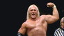 WWF Championship Wrestling - Sep. 20, 1980