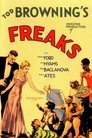 Poster van Freaks