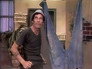 Image Chaves