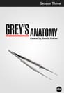 Grey's Anatomy - seizoen 3