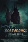 Mondes Sauvages : Chauves-souris, les sentinelles de la forêt