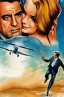 movie poster 213tt0053125-34