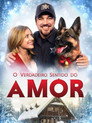 Image O Verdadeiro Sentido do Amor
