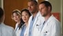 Image Grey's Anatomy