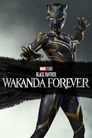 Imagen Pantera Negra 2