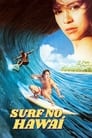 Surf no Hawaí