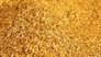 Gold Fever!