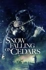 Poster for Snow Falling on Cedars