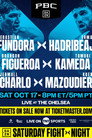 Sebastian Fundora vs. Ermal Hadribeaj