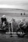 Hästens öga