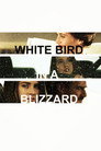 White Bird in a Blizzard