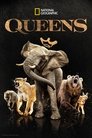 Queens Episode Rating Graph poster